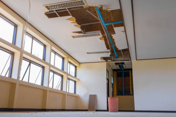Best Water damage restoration near me  in Bent Creek, NC
