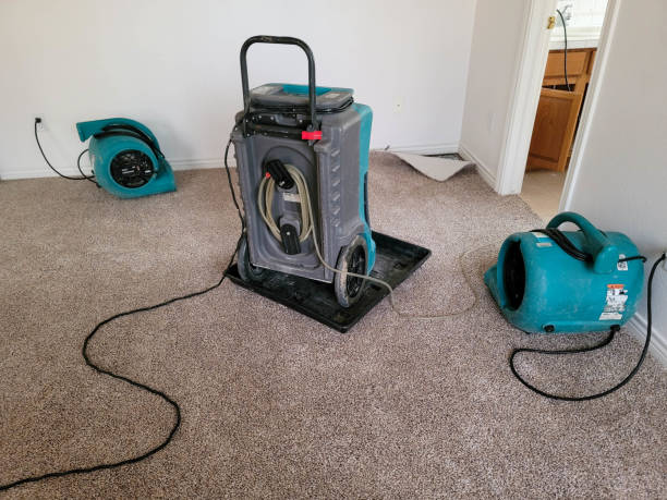 Best Ceiling water damage repair  in Bent Creek, NC