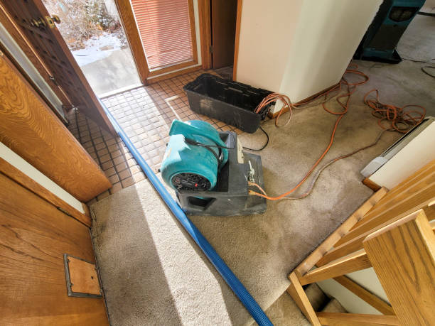 Best Basement water damage restoration  in Bent Creek, NC