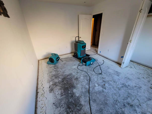 Best Basement water damage restoration  in Bent Creek, NC