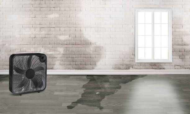 Best Commercial water damage restoration  in Bent Creek, NC
