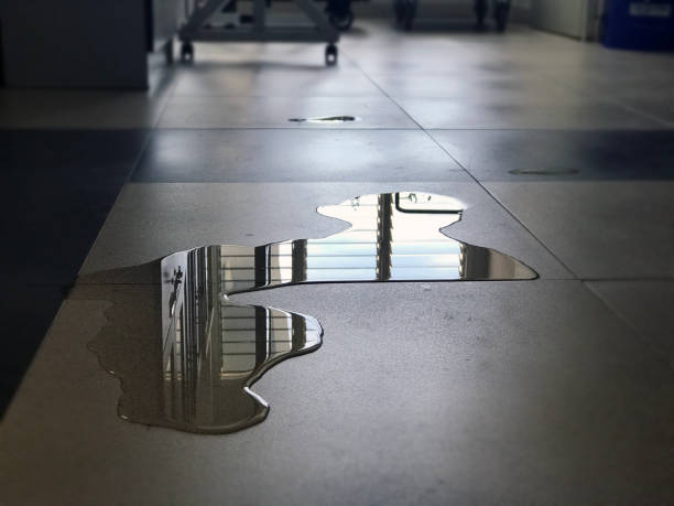 Best Professional water damage repair  in Bent Creek, NC