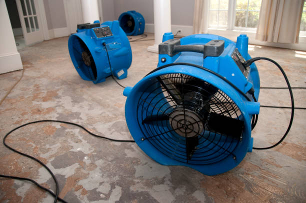 Best Carpet water damage restoration  in Bent Creek, NC
