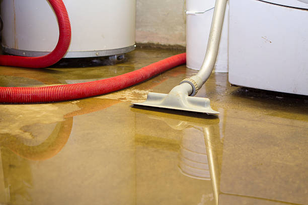 Best Mold removal after water damage  in Bent Creek, NC