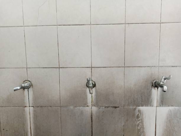 Best Professional water damage repair  in Bent Creek, NC