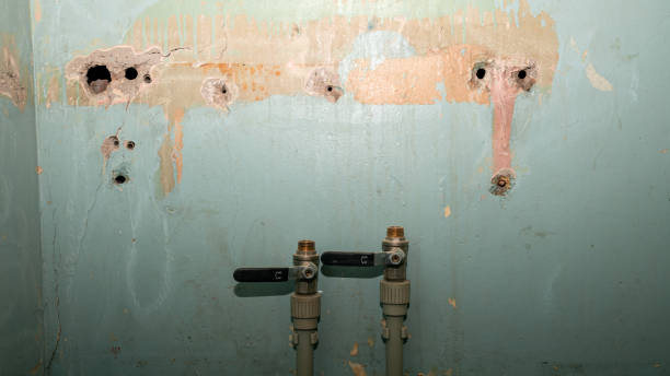 Best Sewage cleanup and water damage restoration  in Bent Creek, NC