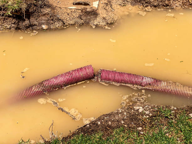 Best Emergency water damage restoration  in Bent Creek, NC