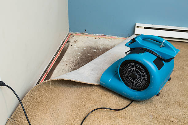 Best Water damage contractors near me  in Bent Creek, NC